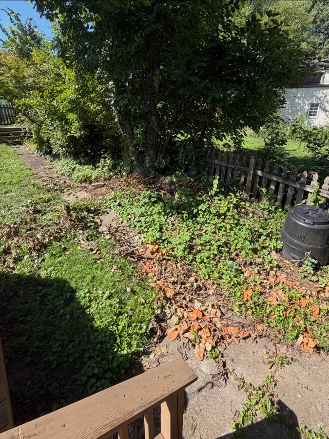 Overgrown yard with dead leaves along a fence