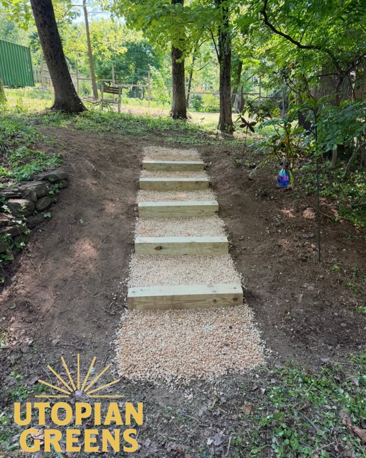 New timber steps set in gravel climbing the slope