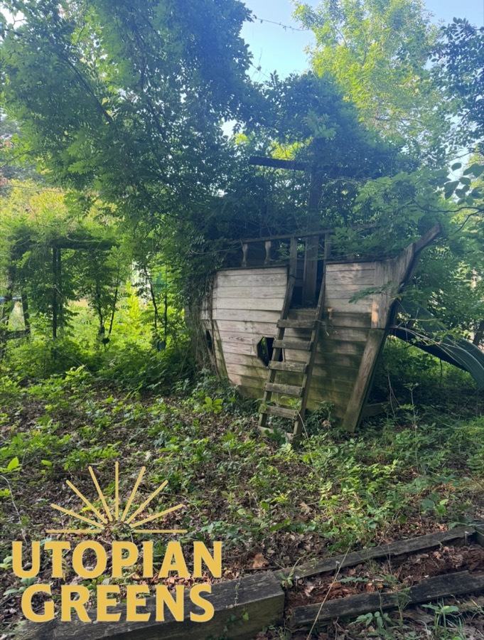 An old wooden play structure swallowed by vines