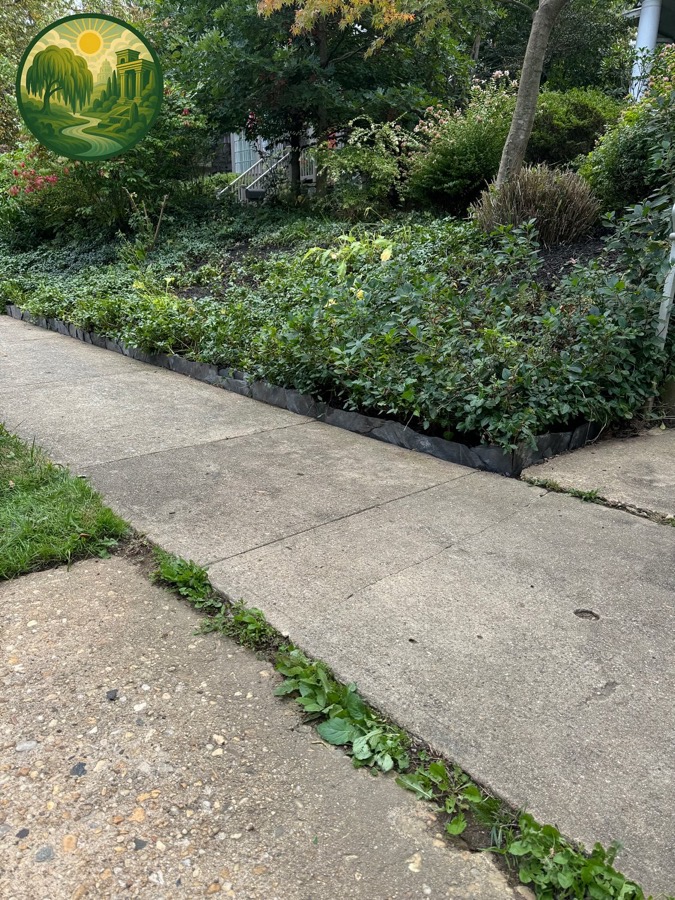 A planted bed held back by a slate edge along the sidewalk