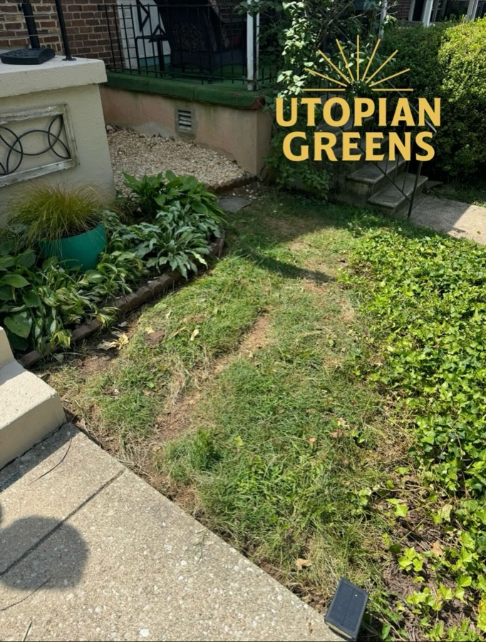 A patchy strip of lawn by a front porch